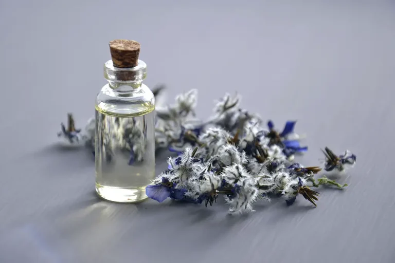 Qual a diferença entre colônia e perfume? Guia completo