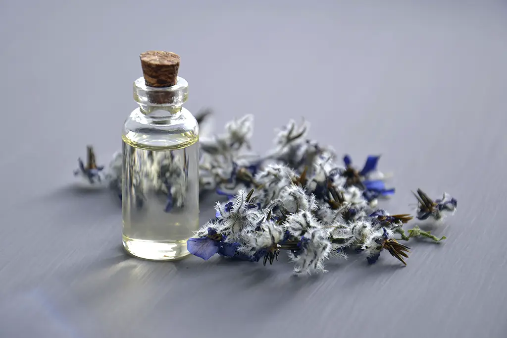 diferença entre perfume e colônia